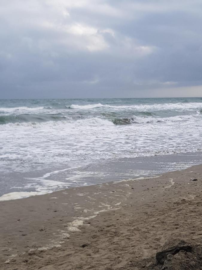 La Rose Des Sables, T2 A La Mer, Terrasse Et Garage Frontignan Buitenkant foto