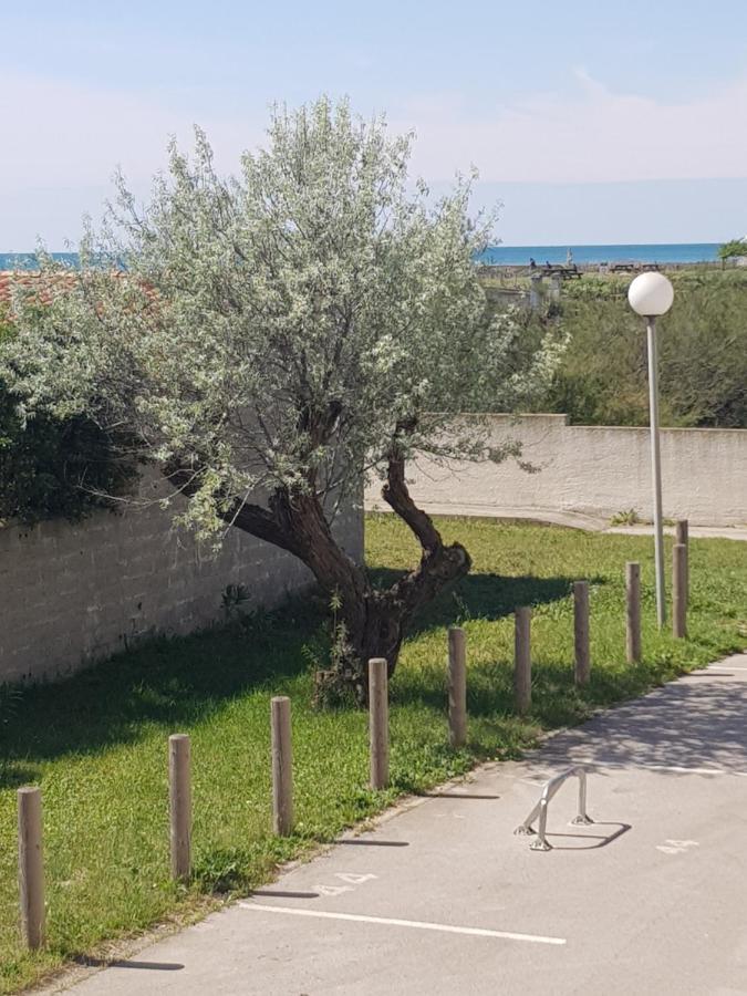 La Rose Des Sables, T2 A La Mer, Terrasse Et Garage Frontignan Buitenkant foto