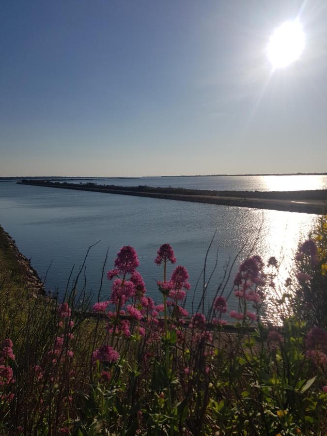 La Rose Des Sables, T2 A La Mer, Terrasse Et Garage Frontignan Buitenkant foto