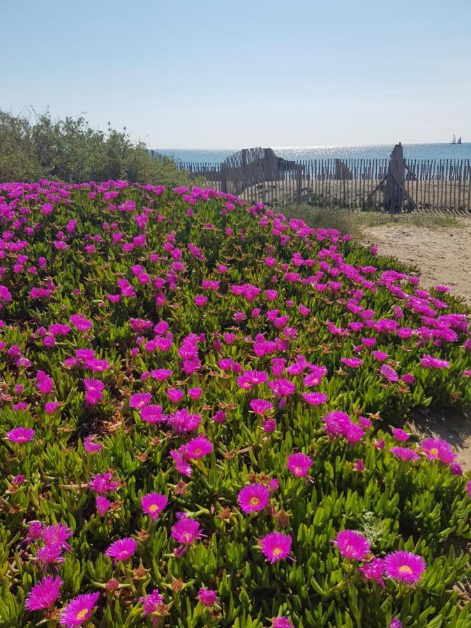 La Rose Des Sables, T2 A La Mer, Terrasse Et Garage Frontignan Buitenkant foto