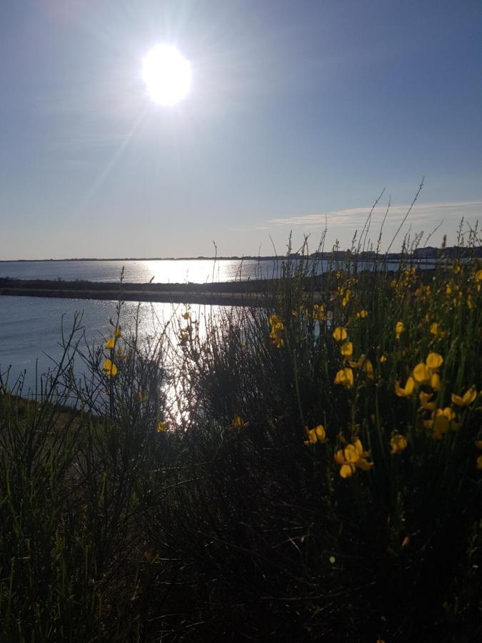 La Rose Des Sables, T2 A La Mer, Terrasse Et Garage Frontignan Buitenkant foto