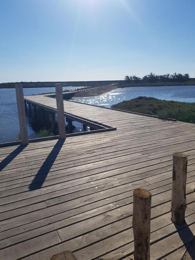 La Rose Des Sables, T2 A La Mer, Terrasse Et Garage Frontignan Buitenkant foto