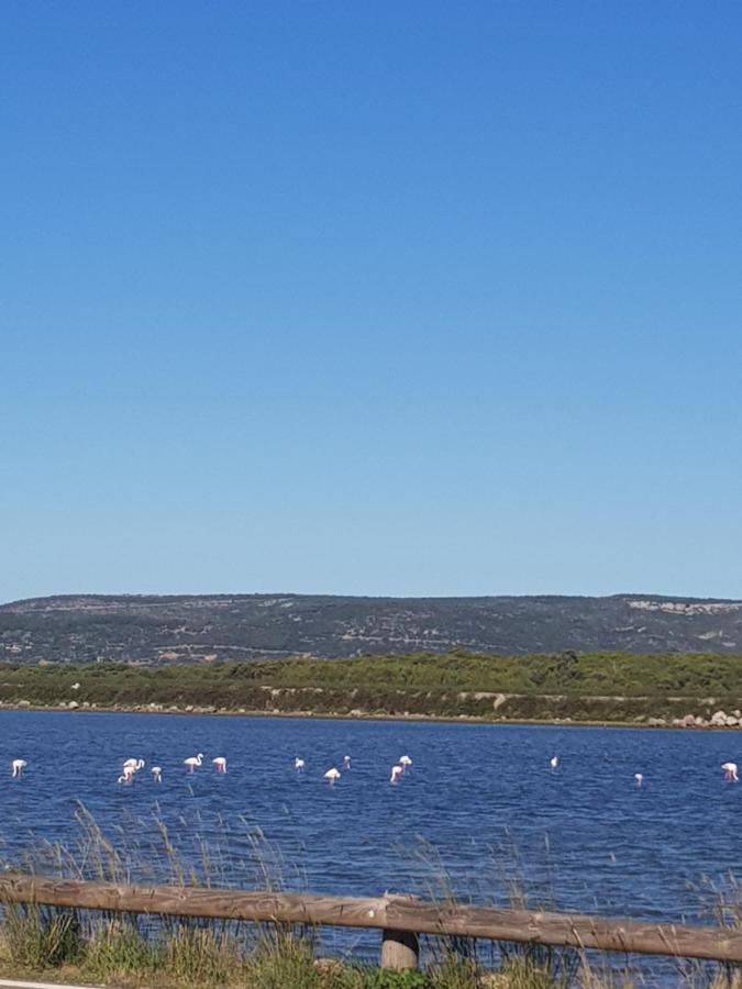 La Rose Des Sables, T2 A La Mer, Terrasse Et Garage Frontignan Buitenkant foto