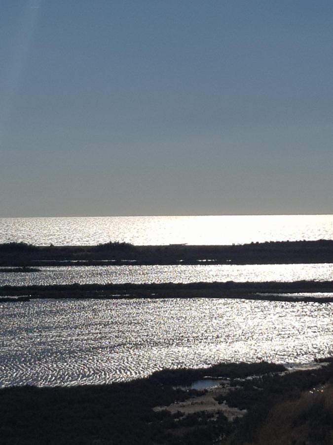 La Rose Des Sables, T2 A La Mer, Terrasse Et Garage Frontignan Buitenkant foto